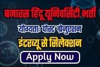 बनारस हिंदू विश्वविद्यालय में निकली 300 से अधिक पदों पर भर्ती जाने आवेदन से जुड़ी जानकारी