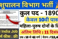 पशुपालन विभाग में नौकरी पाने का शानदार अवसर देखे भर्ती से जुड़ी सारी जानकारी