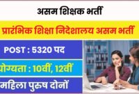 प्रारंभिक शिक्षा निदेशालय में निकली नई भर्ती देखे आवेदन से जुड़ी सारी जानकारी