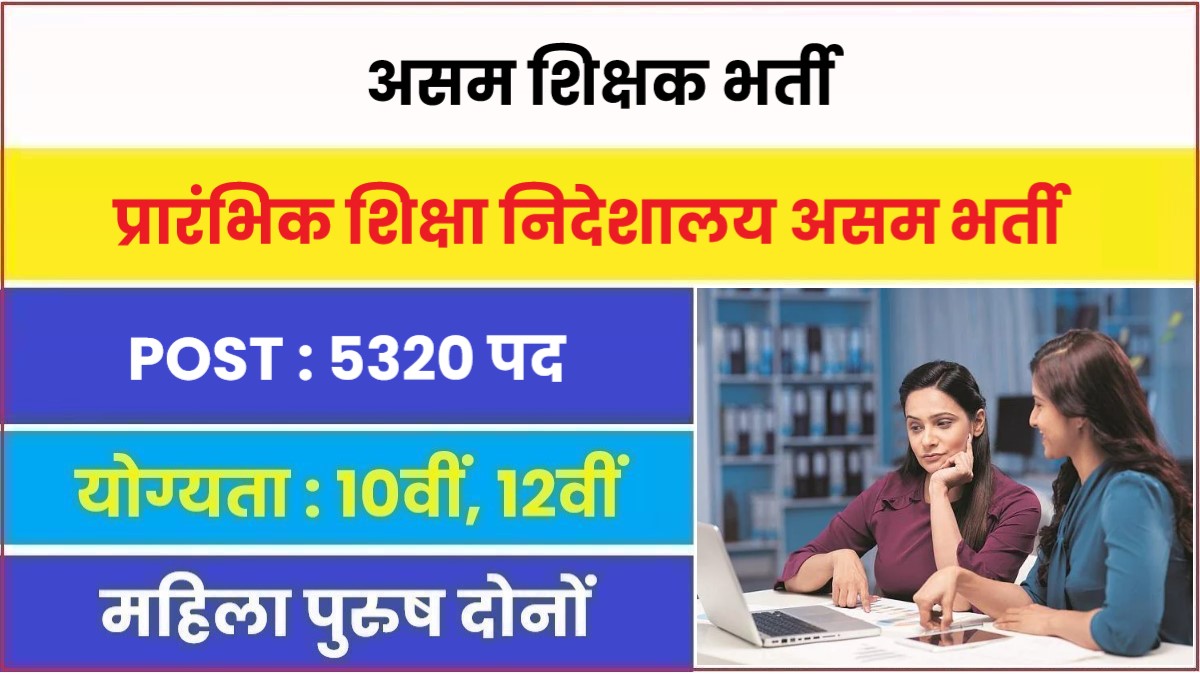 प्रारंभिक शिक्षा निदेशालय में निकली नई भर्ती देखे आवेदन से जुड़ी सारी जानकारी